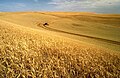 Náhled verze z 20. 11. 2004, 06:01