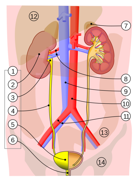 Soubor:Mocovy system.png