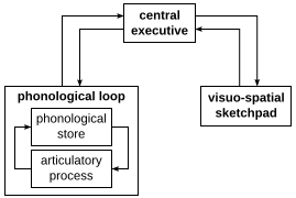 Soubor:Working memory model.svg